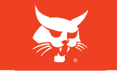ASVLogo